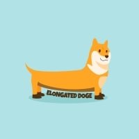 Elongated Doge