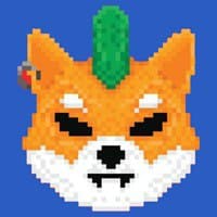 Crypto SHIBA