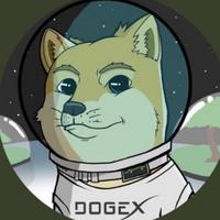 LittleDogeX