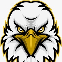 Eagle Vision ADA
