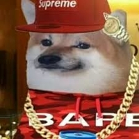 LilCheems