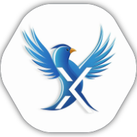 X/Twitter