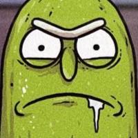 Pickle Rick Bitch!!!