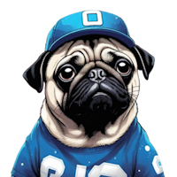 Galactic Pug Coin