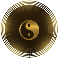 Yin Yang Token