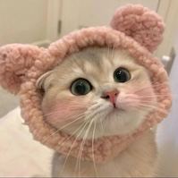 MOCHI