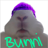 BUNNIWIFHAT