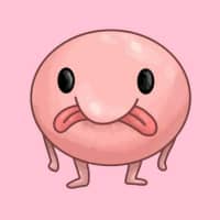 BLOBFISH