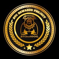 BTCBullDog BSC