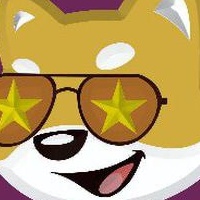 Doge Start Coin