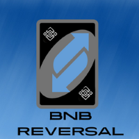 🌀 Bnb Reversal  🌀