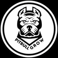 Pitbull Grow