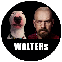 WALTERTOKEN