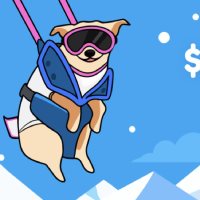 Shredn Dog