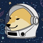 SPACE CHEEMS INU