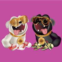 Pups of elon