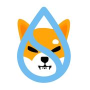 Sui Inu
