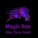 Magic Run