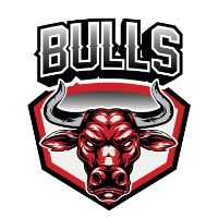 Bulls Coin