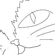 Kass The Cat