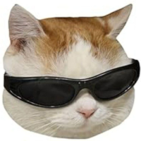 Book of Cats