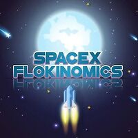 SpaceXflokinomics BSC token