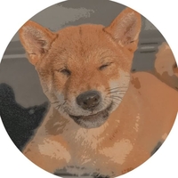 FLOKI FRUNKPUPPY