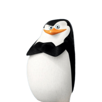 Skipper Solana