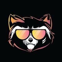 Rocket Raccoon