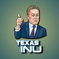 Texasinu BSC token