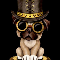 SteamPunk Inu