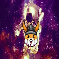 FlokiCosmos