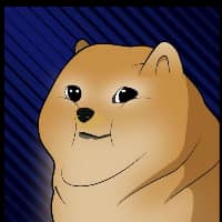 DOMS INU