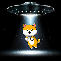 UFO DOGE