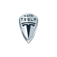 MetaTesla