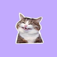 HAPPY CAT