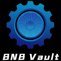 BNB VAULT