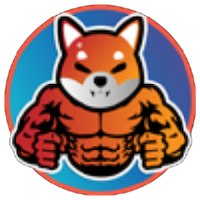 Buff Shiba Inu