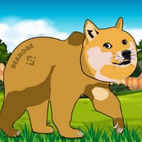 Bearoge