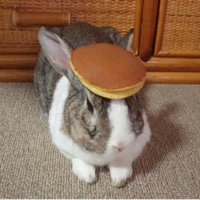 BunnyWifCake