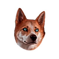 LOKI DOG