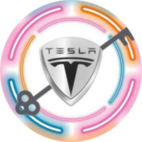 Tesla Key BSC