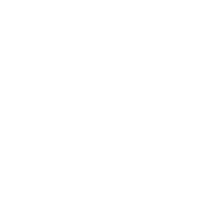 Many Worlds