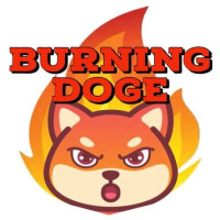 Burning Doge
