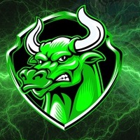 BULL INU