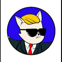 Wall Street Cats