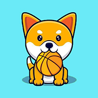 Shibasketball