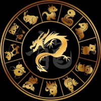 Year of the Dragon