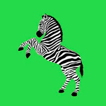 Zebra Coin