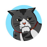WittyCat